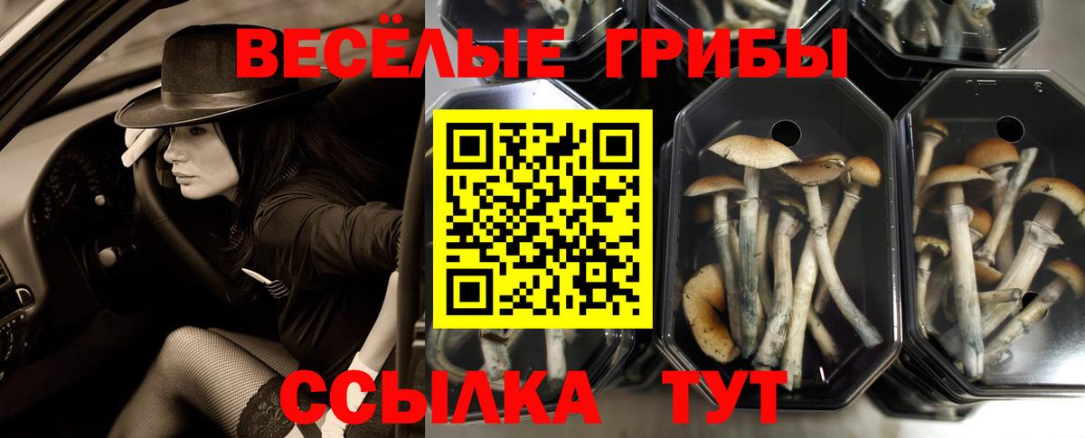Жигулёвск  COCAIN  Каннабис  Где купить  ЭКСТАЗИ  ТГК  ГАШ  Вход с VPN  МЕФ  