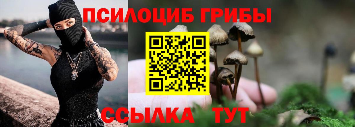 хочу   Псилоцибиновые грибы Psilocybe  Псилоцибиновые грибы Psilocybine cubensis  Вход с VPN  Жигулёвск 